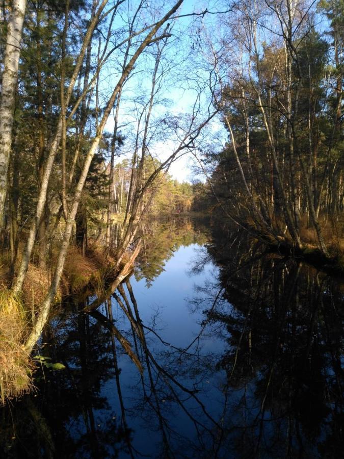 Moorhexe Gelbensande